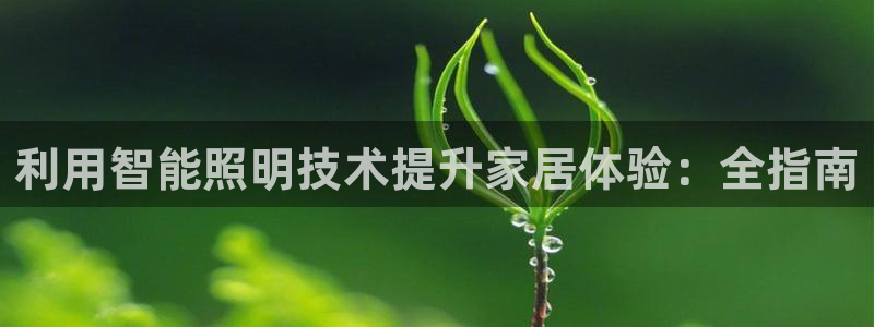 云顶app官网