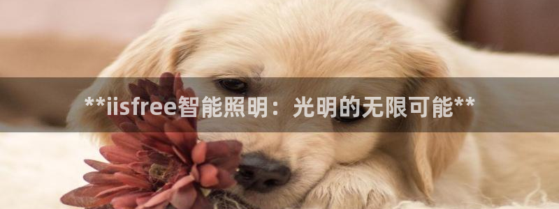 手游云顶国际服下载