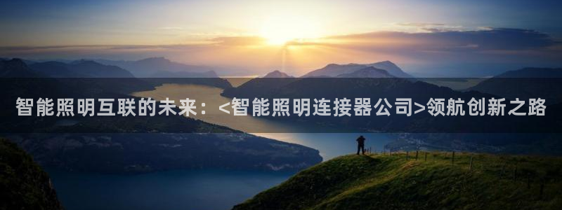 云顶国际服官网