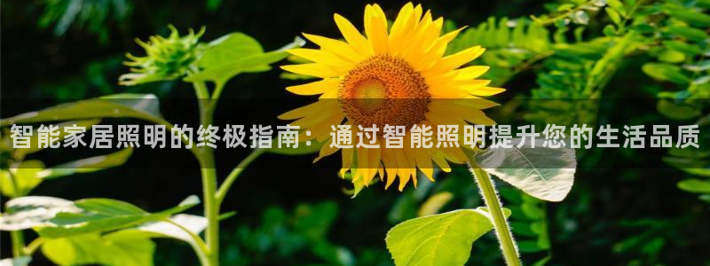 云顶国际体育官方网站