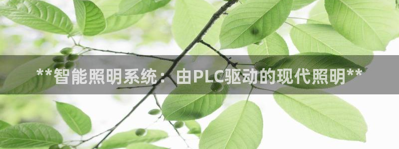 云顶网上官网