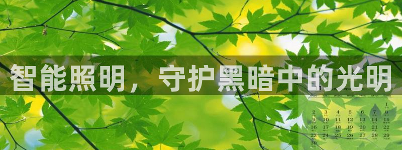 云顶国际服阵容