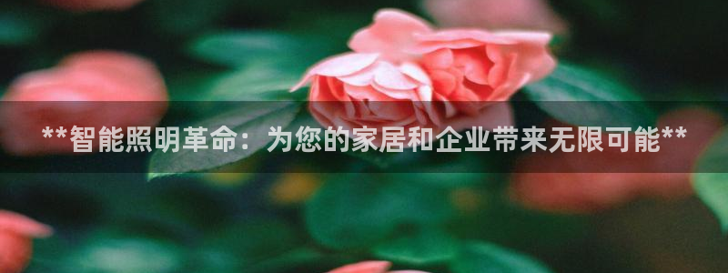 云顶集团有限公司简介资料