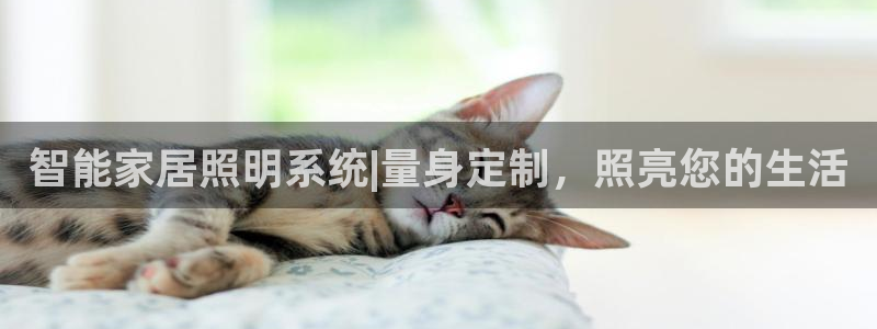 云顶国际公馆房价