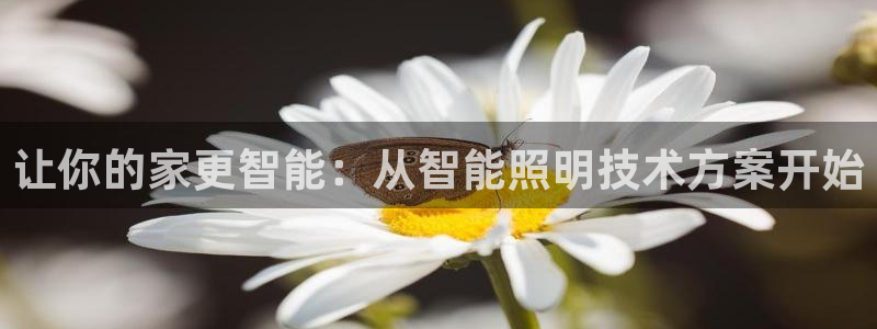 云顶集团官网登录入口