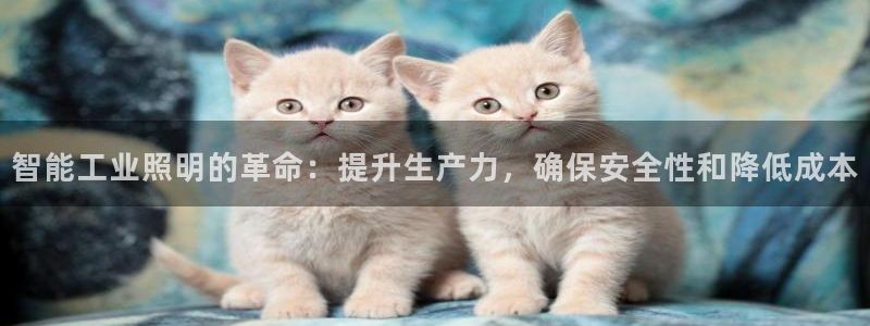 云顶国际官网下载