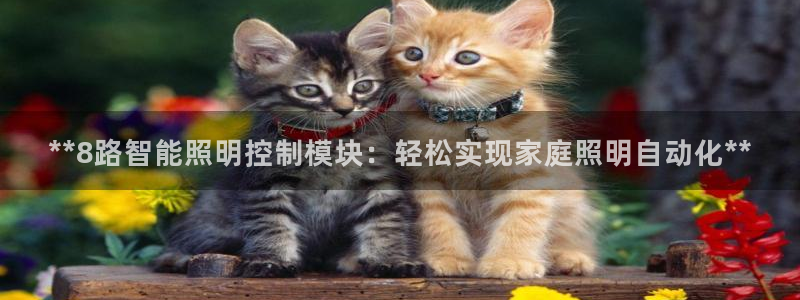 云顶国际酒店几星