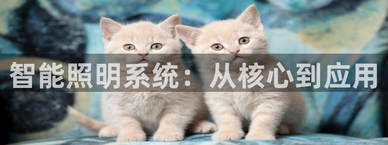 云顶游戏网站