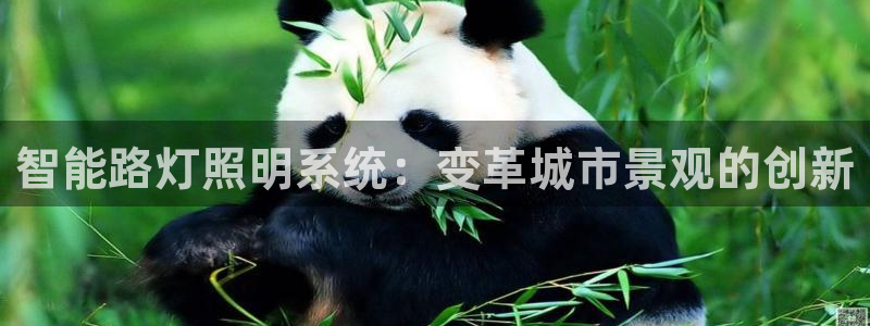 云顶国际下载地址