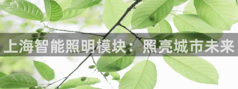 云顶国际app官方下载安卓