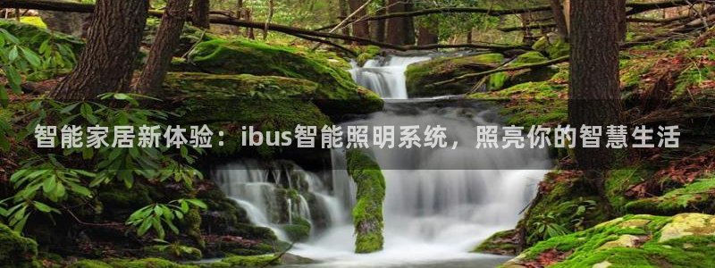 云顶集团老总