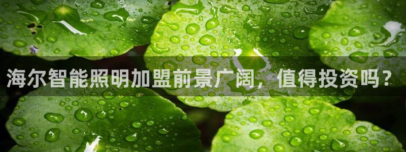 云顶网上官网