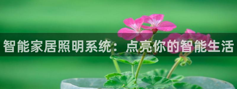 云顶671183