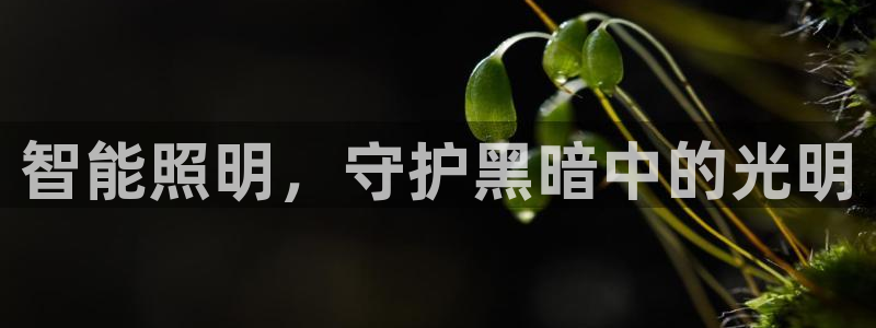 云顶国际注册存款