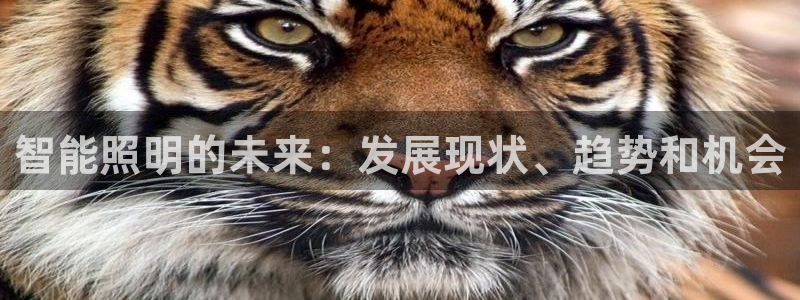 云顶集团官网电话客服