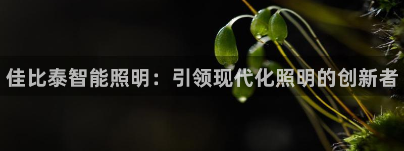 云顶国际晟荣协会