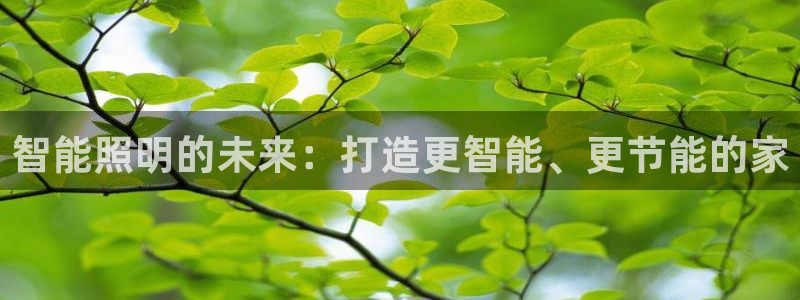 云顶国际集团游戏