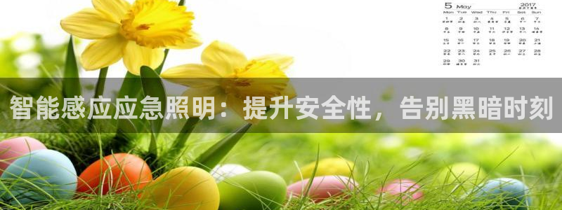 云顶手游国际服什么时候更新