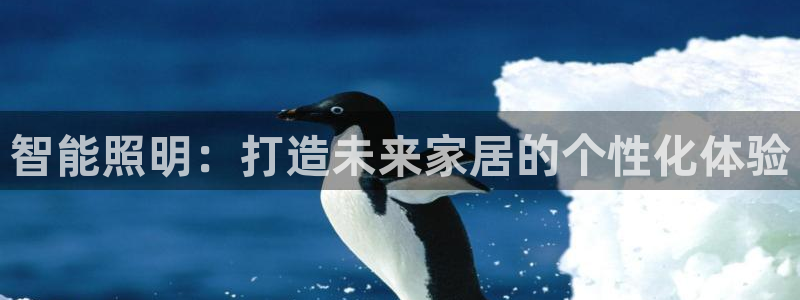 云顶国际服什么时候更新s9