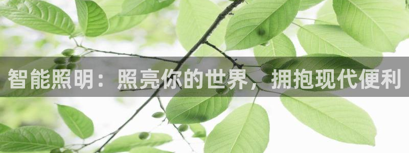 云顶国际A405