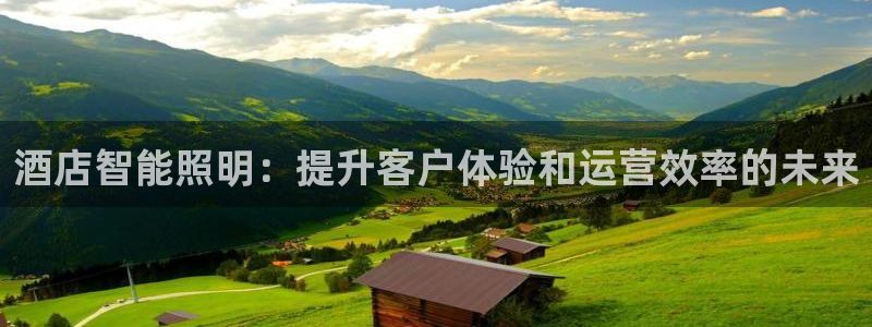 云顶集团官网电话客服