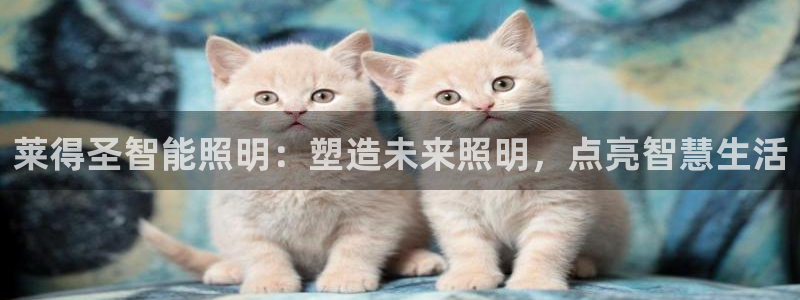 云顶国际大酒店招聘信息