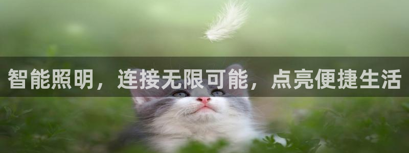云顶国际官方网