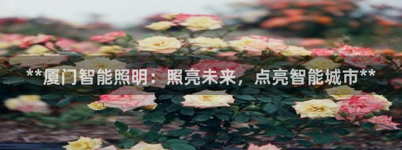 云顶国际培训中心电话