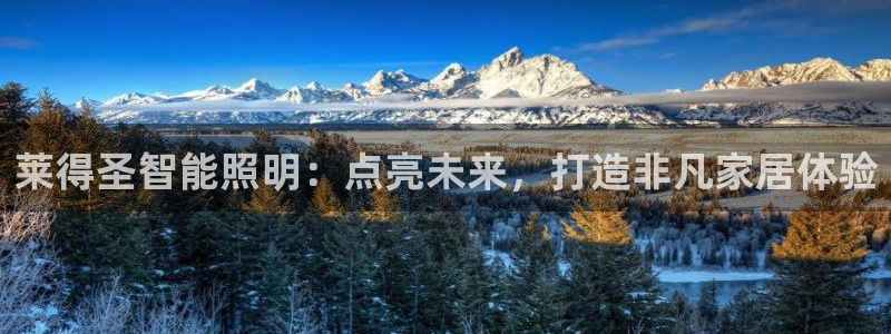 云顶电子游戏平台：莱得圣智能照明：点亮未