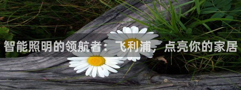 云顶国际物流