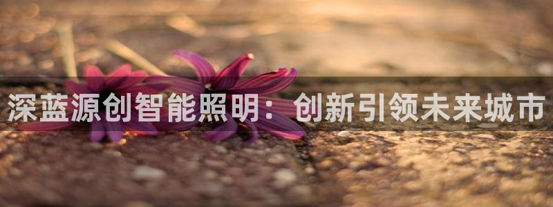 云顶国际商业广场怎么样