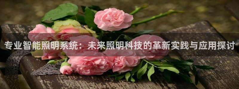云顶国际官方网站入口：专业智能照明系统：
