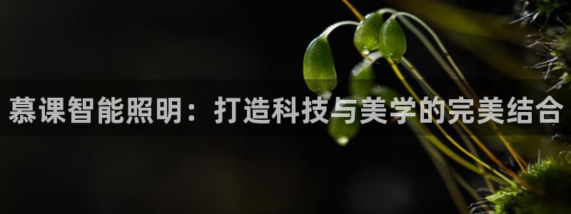 云顶集团网：慕课智能照明：打造科技与美学